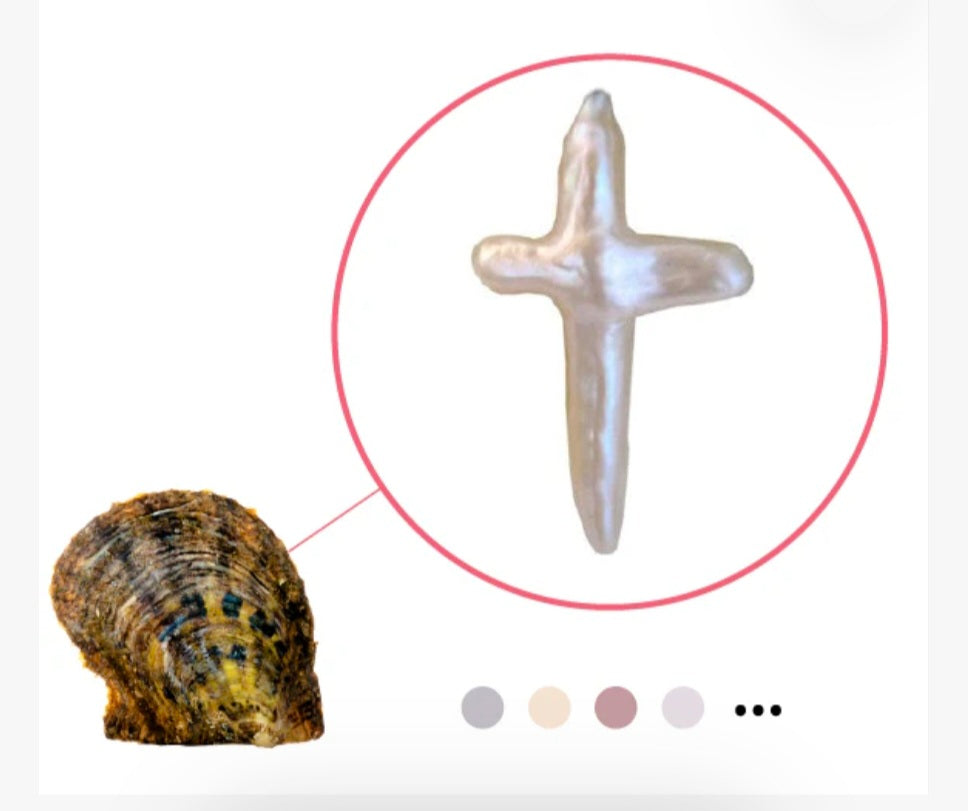 Lg. Classic Cross-Oyster
