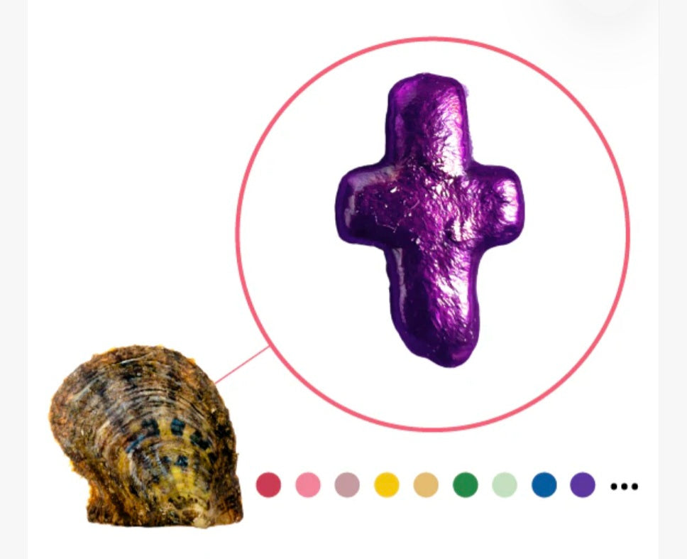 Sm. Colored Cross-Oyster