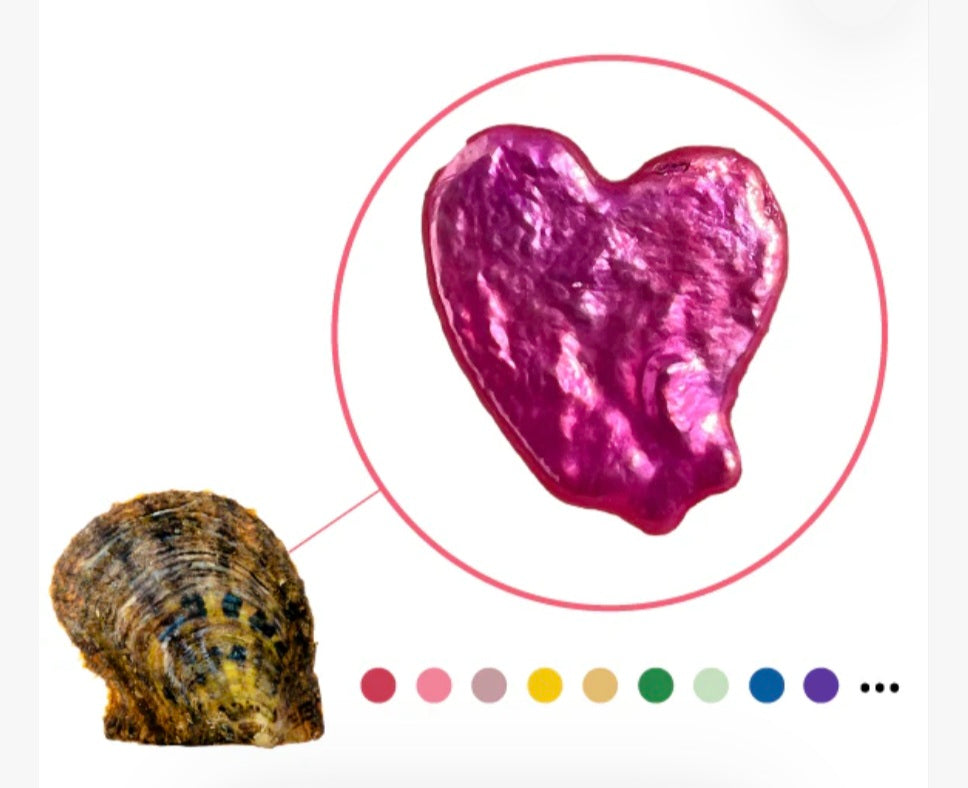 Colored Heart-Oyster