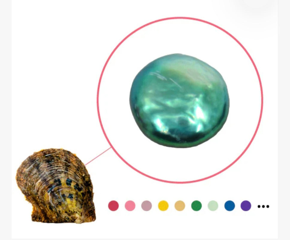 Colored Coin-Oyster