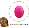 Colored Oval-Oyster