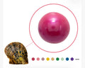 Colored Edison- Oyster
