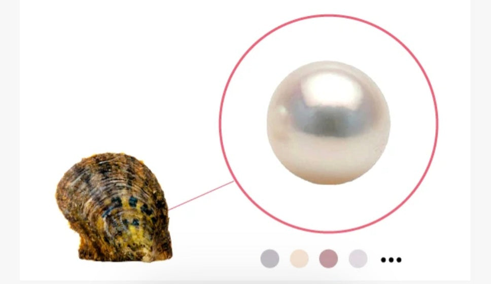 Classic Round-Oyster