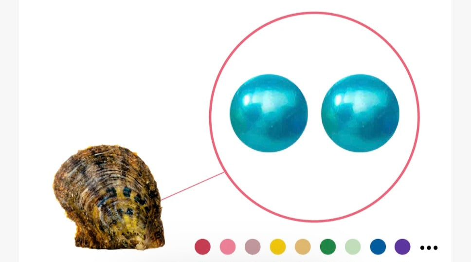 Colored Twin-Oyster