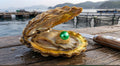 Treasure Oyster-Ring